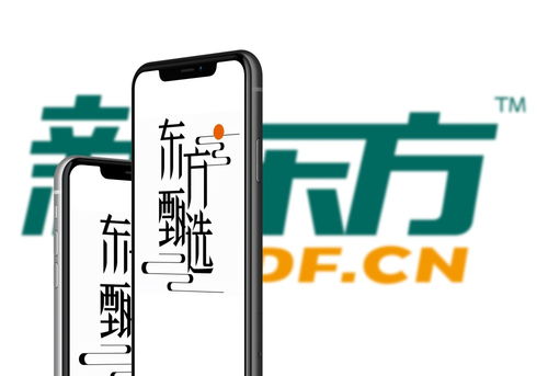 辛巴將直播幫企業招工 東方甄選粉絲破2000萬 微念訴李子柒案將開庭